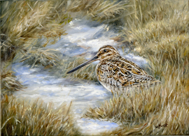 Snipe in grass oil painting
